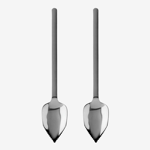 Stainless Steel Grapefruit Spoon, Set of 2